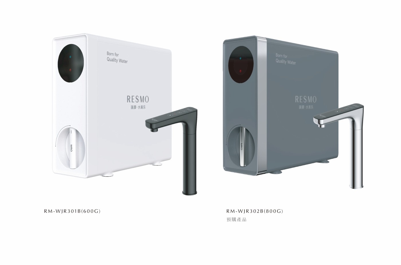 RM WJR301B detail04